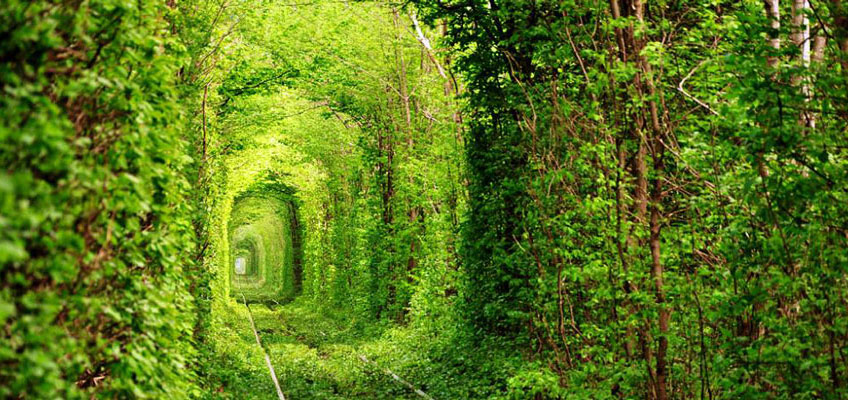Private Tour to the Tunnel of Love
